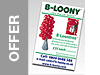 B-Loony Swatch
